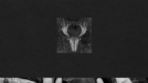 Regulator Vrnjačka Banja